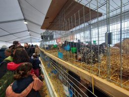 Fiera dell&#039;Agricoltura 2025