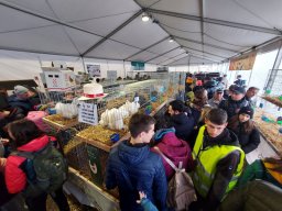 Fiera dell&#039;Agricoltura 2025
