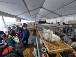 Fiera dell&#039;Agricoltura 2025