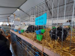 Fiera dell&#039;Agricoltura 2025
