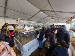 Fiera dell&#039;Agricoltura 2025